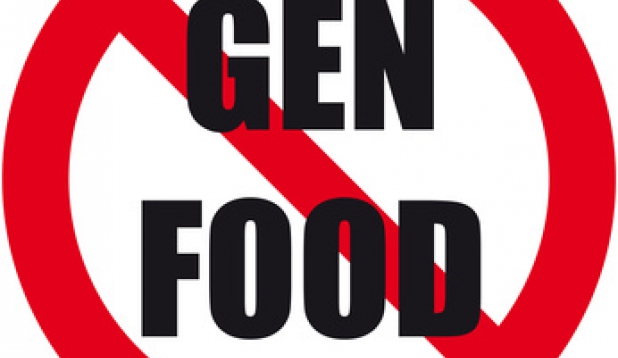 Flyer gegen Gen Food