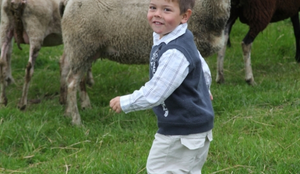 ein Kind auf einer Wiese mit Schafen
