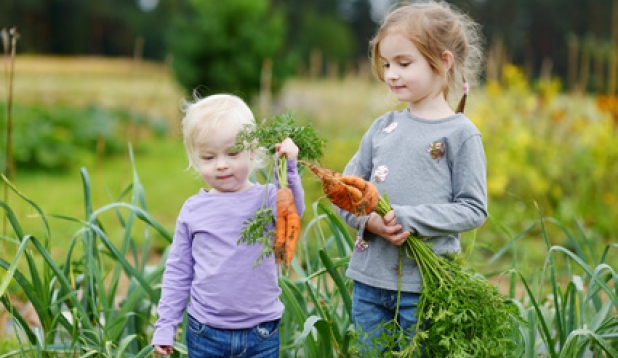 Kinder im Garten mit frisch geernteten Moehren